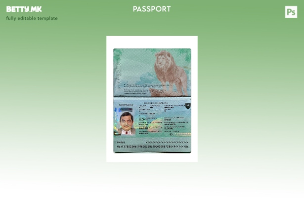 modern style Malawi passport present template